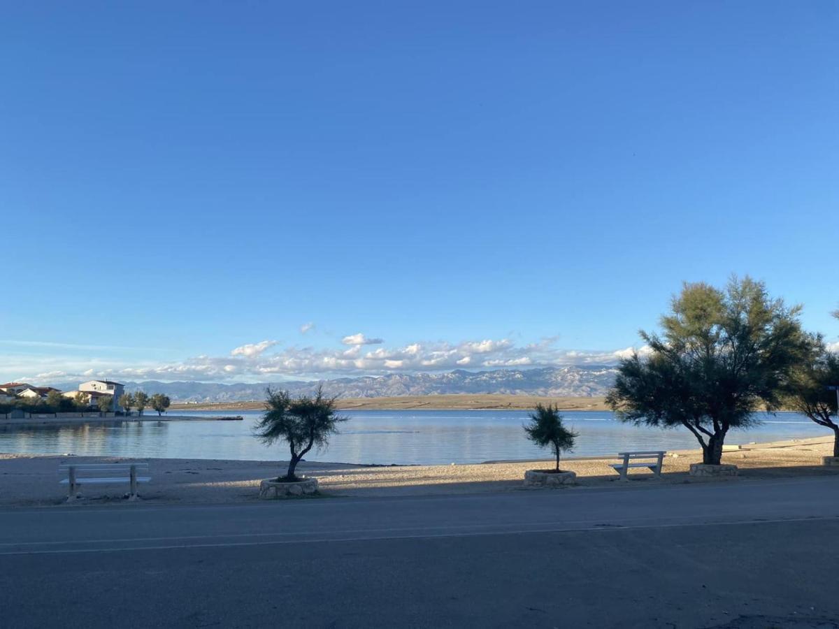 Apartman Vjeko Vir Bagian luar foto