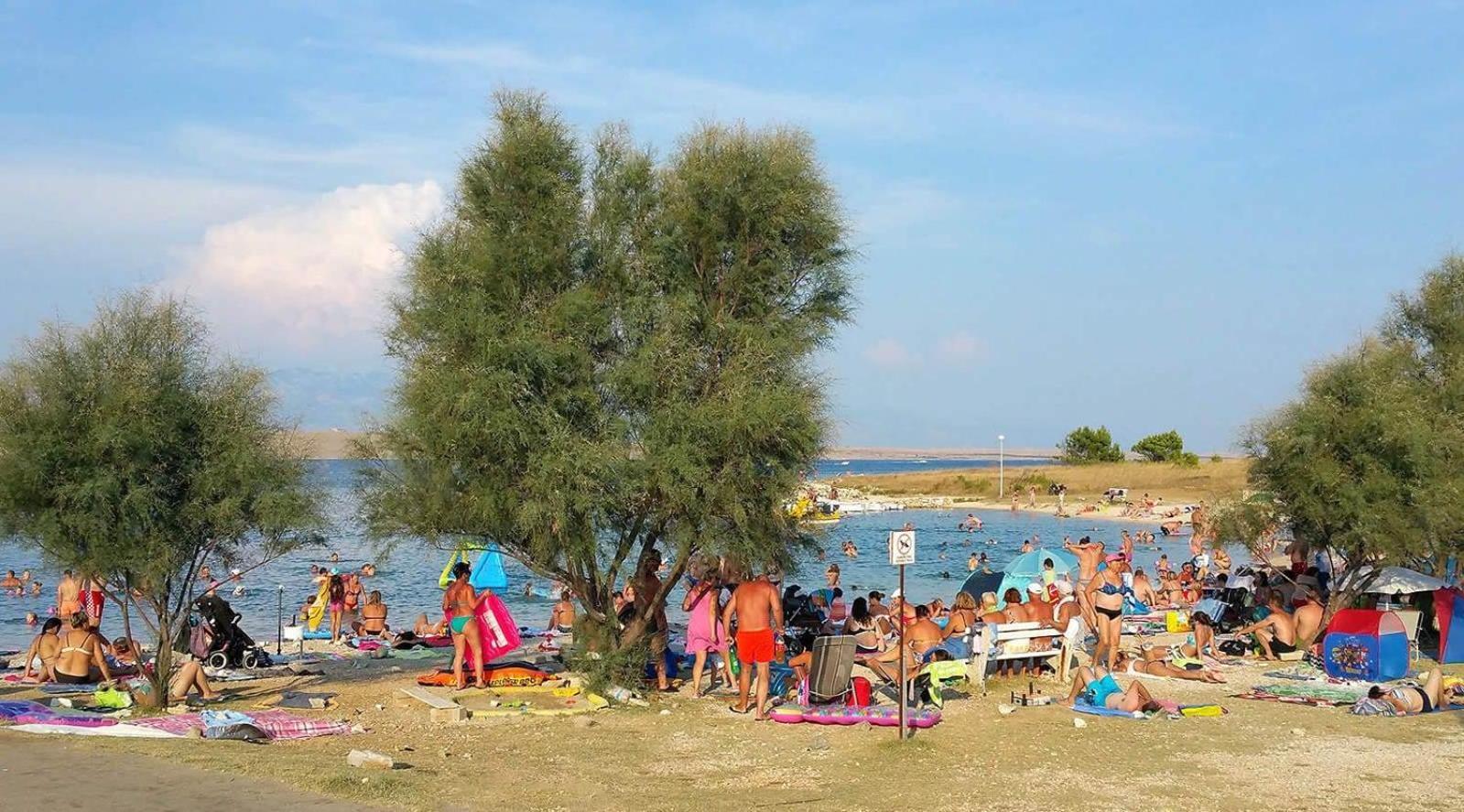 Apartman Vjeko Vir Bagian luar foto