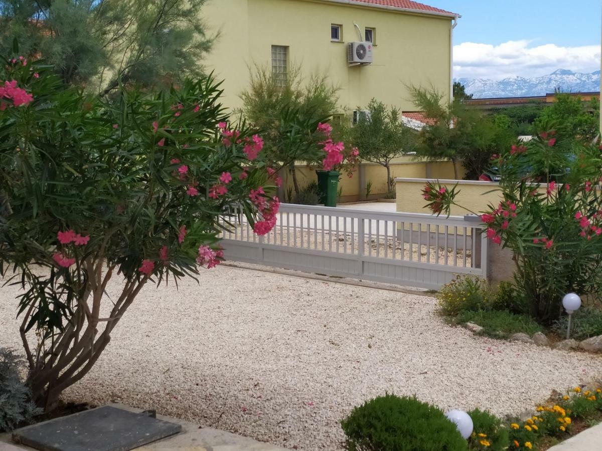 Apartman Vjeko Vir Bagian luar foto